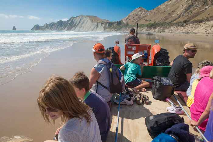 Gannet Beach Adventures pic