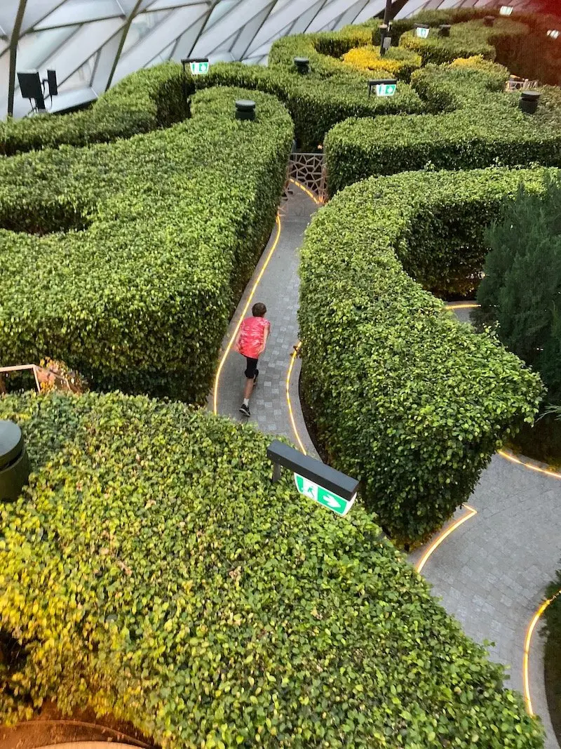 hedge maze at changi jewel pic 800