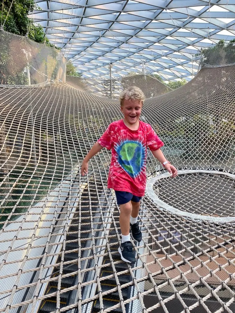 sky nets at changi pic 800