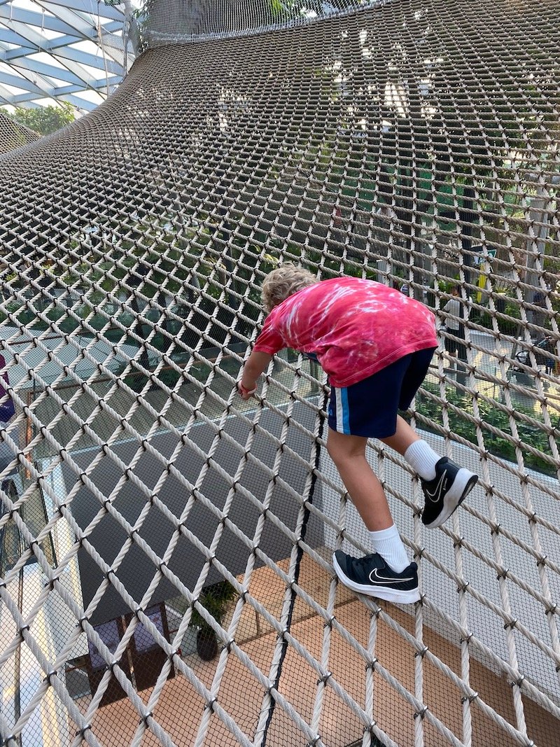 walking sky nets at jewel changi pic 800