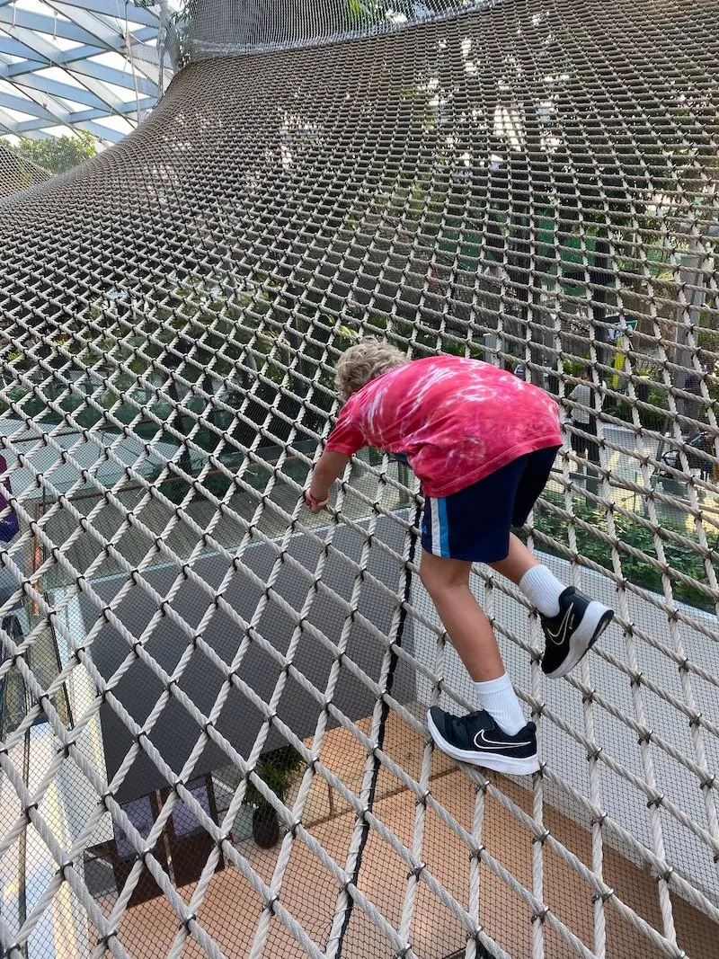 walking sky nets at jewel changi pic 800