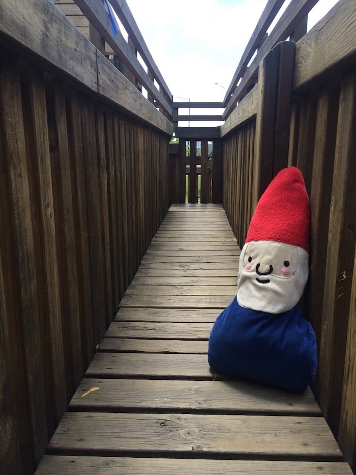 Albert Park playground walkway pic