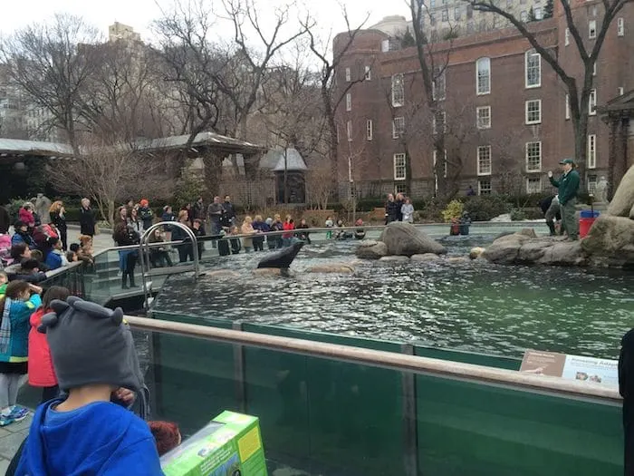 Best Zoo in New York- Central Park Zoo. ROAM THE GNOME Family Travel Website. Hundreds of fun ideas and activities to help you plan and book your next family vacation or weekend adventure