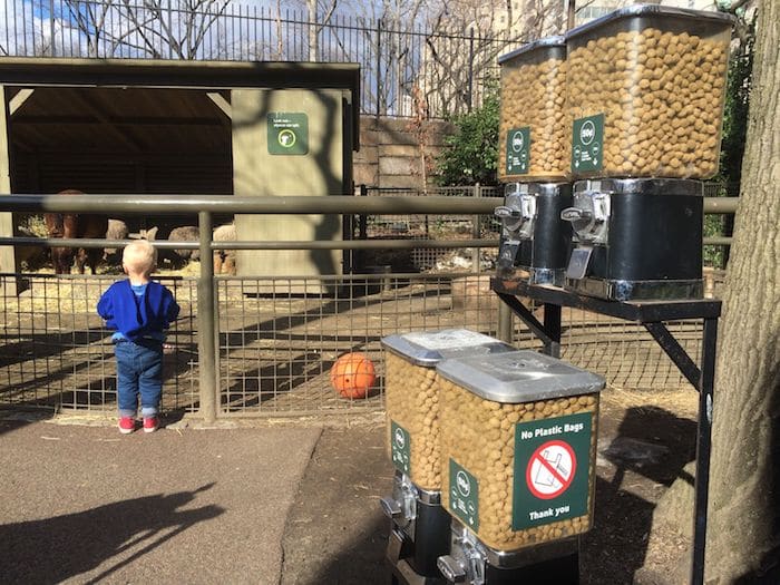 Best zoo in new york city - Central Park Zoo. ROAM THE GNOME Family Travel Website. Hundreds of fun ideas and activities to help you plan and book your next family vacation or weekend adventure.