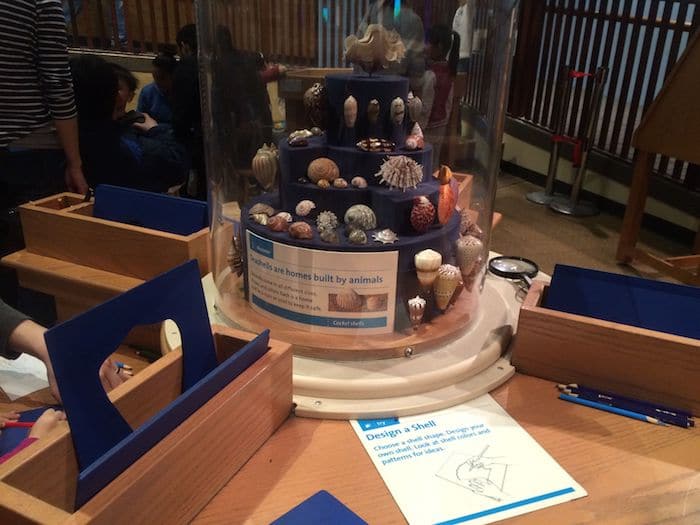 Draw a shell at Brooklyn Children's Museum. ROAM THE GNOME Family Travel Website. Hundreds of fun ideas and activities to help you plan and book your next family vacation or weekend adventure.