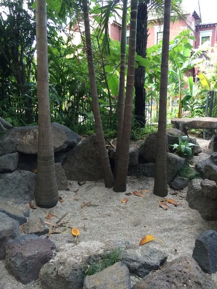 Ian Potter Childrens Garden Melbourne bamboo garden pic