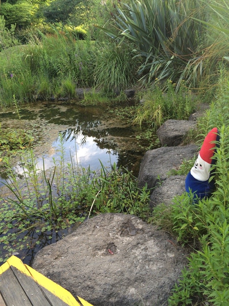 Ian Potter Childrens Garden Melbourne - the wetlands pic