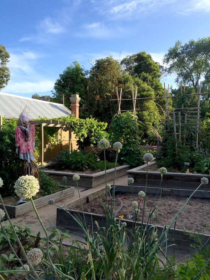 vegetable gardens at Ian Potter Childrens Garden Melbourne 