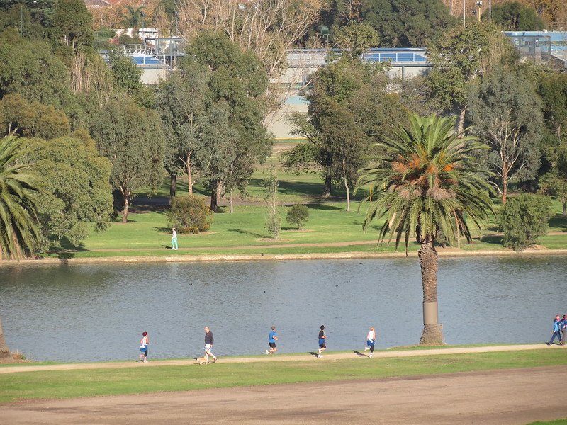 albert park lake runners by ken hodge 