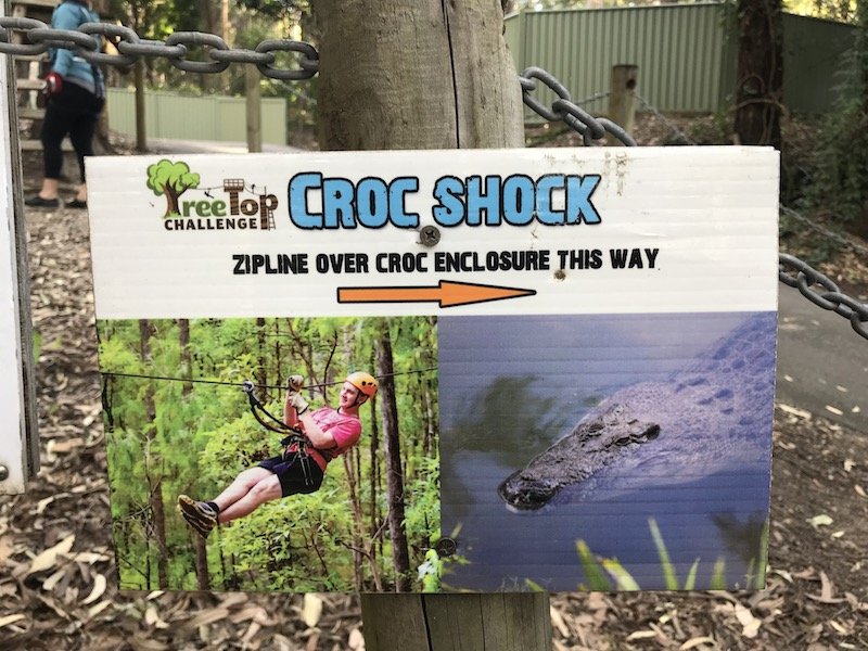 photo - currumbin wildlife sanctuary treetop adventure crocodile pits