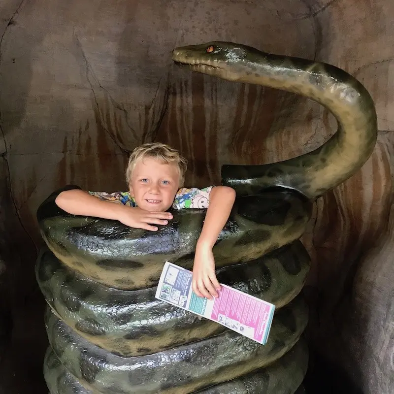 photo - jack at currumbin sanctuary