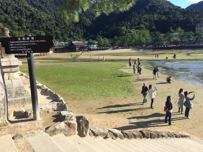 stairs to floating torii gates at miyajima island pic