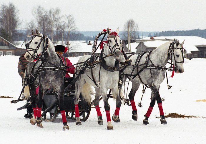 polar express train ride locations and more christmas fun