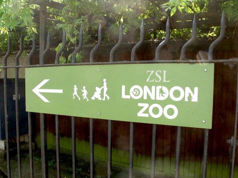 how to get to london zoo - this way sign by elliott brown flickr