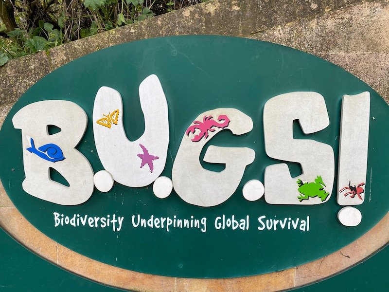 image - bedbugs sleepover at the zoo london sign at entrance