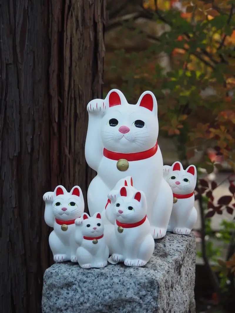 image - cat temple gotokuji tokyo by hotel kaesong