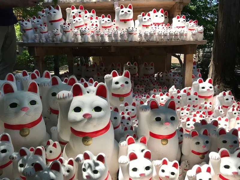 image - gotokuji temple cat temple maneki neko