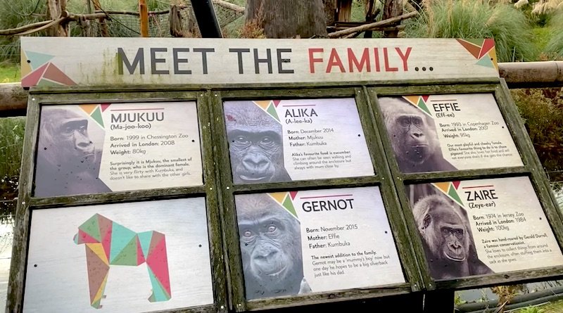 image - london zoo gorillas sign