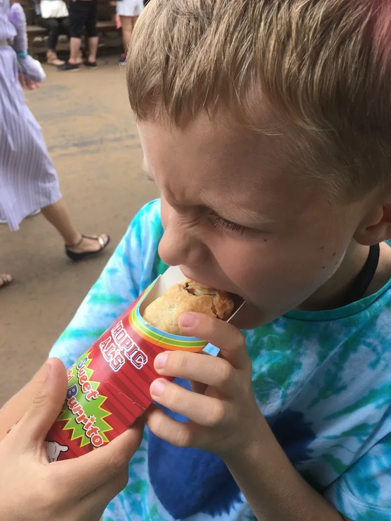 sweet fried burrito at disney sea