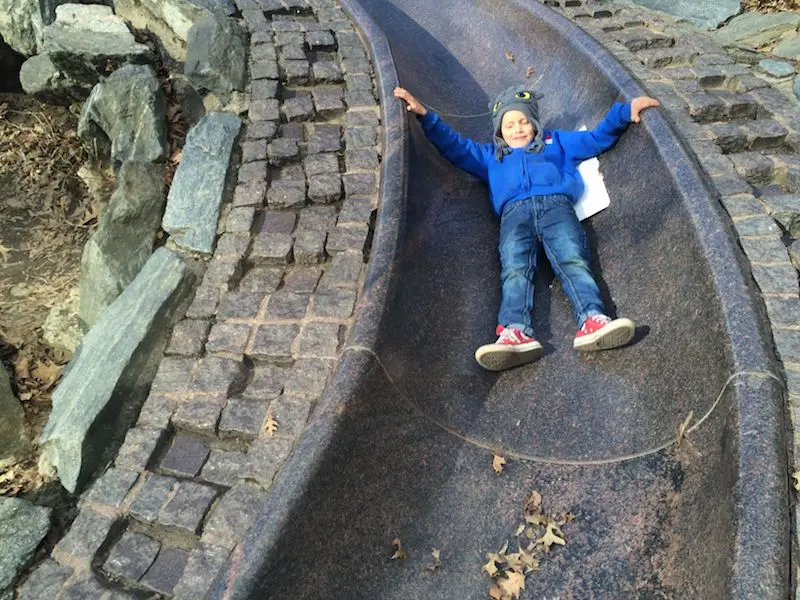 image - billy johnson playground new york ned on granite slide 800