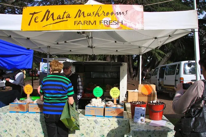 temata mushrooms at hawkes bay farmers market pic by itravelnz