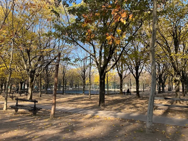 tennis at jardin du luxembourg gardens