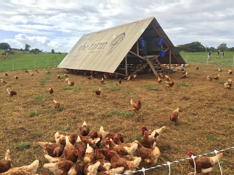 the farm byron bay pic 800