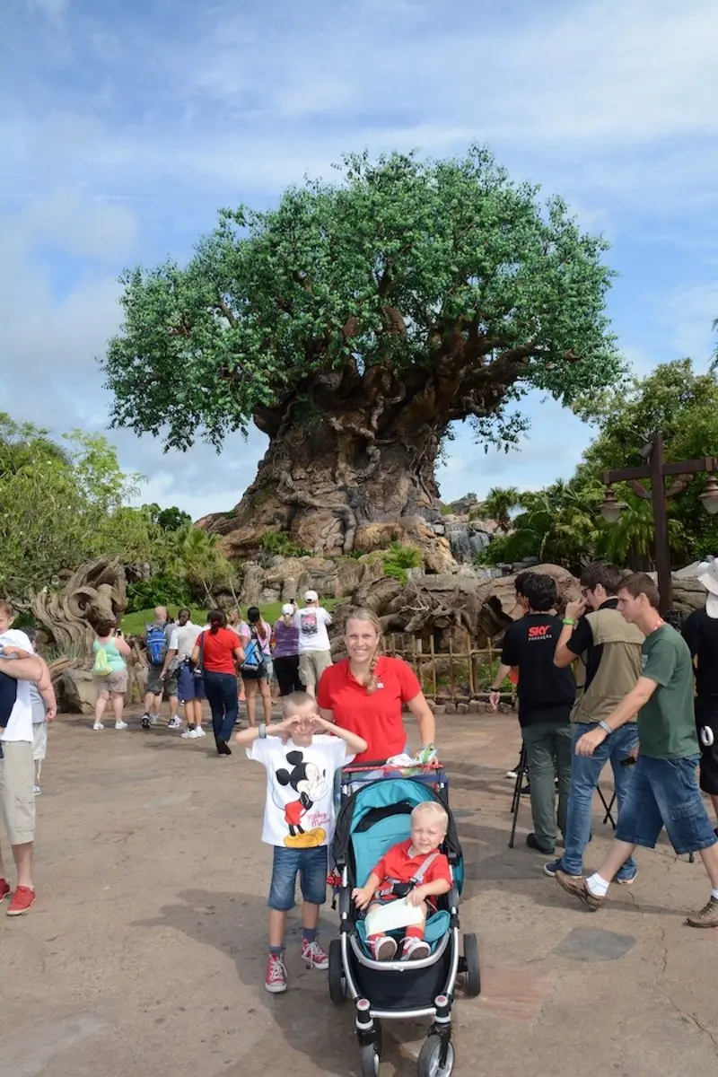 animal kingdom disney world with toddlers and kids 800