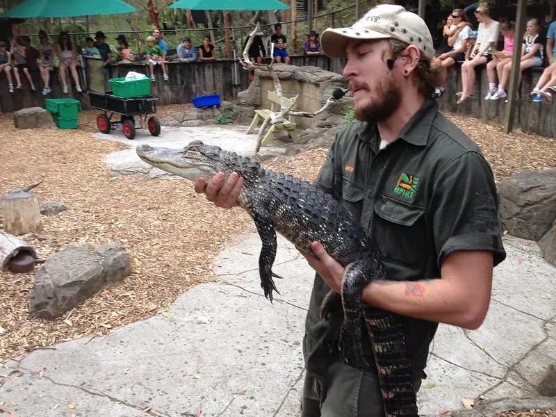 australian reptile park by dushan hanusk