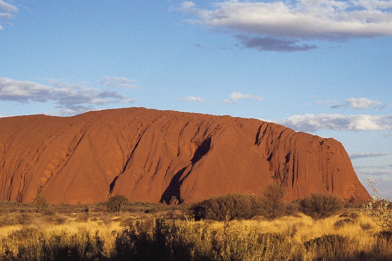 australian souvenirs uluru by ellen forsyth