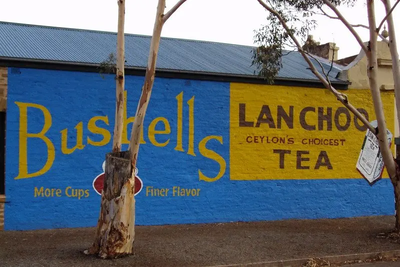 bushells ad on the store in terowie by denisbi