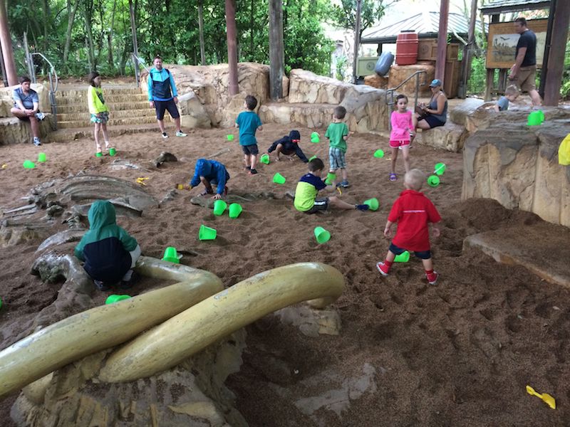 disney world playgrounds - boneyard sandpit 800