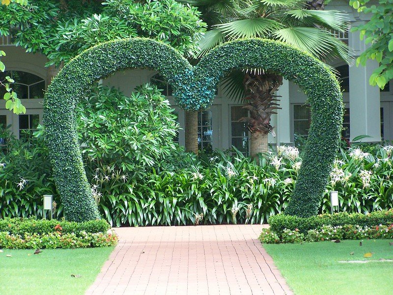 hong kong disneyland hotel landscaping pic by joel 