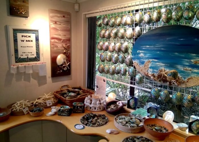 BEST NEW ZEALAND WOOL SHOPS AUCKLAND & NZ