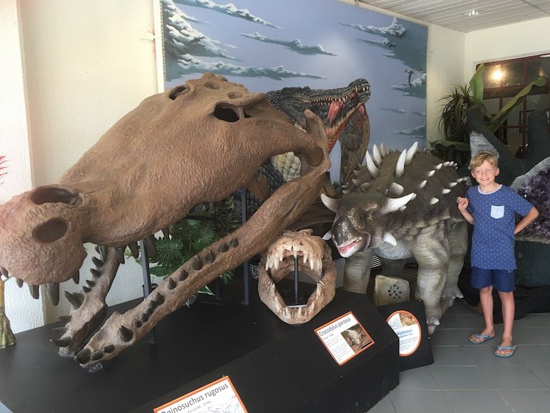 The National Dinosaur Museum in Canberra foyer pic