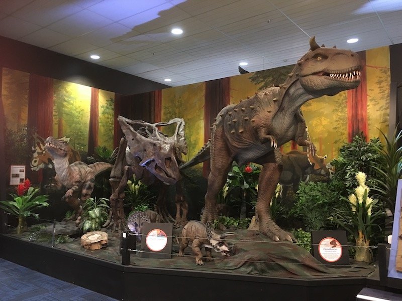 gallery of dinosaurs pic