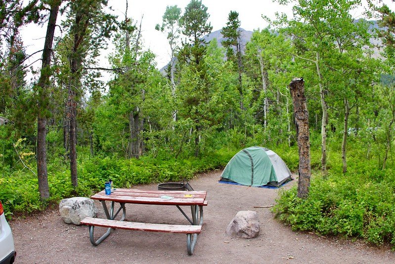 best cooler for camping in the bush by daveynin