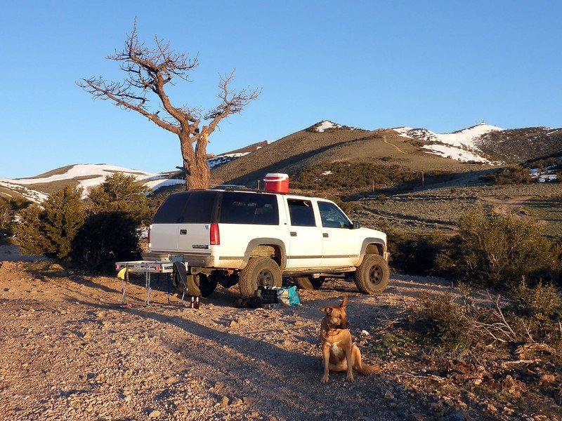 best coolers for camping view of mountains by mitch barrie