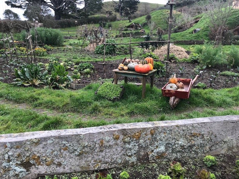 hobbiton tours promo code hobbiton movie set tours in new zealand props