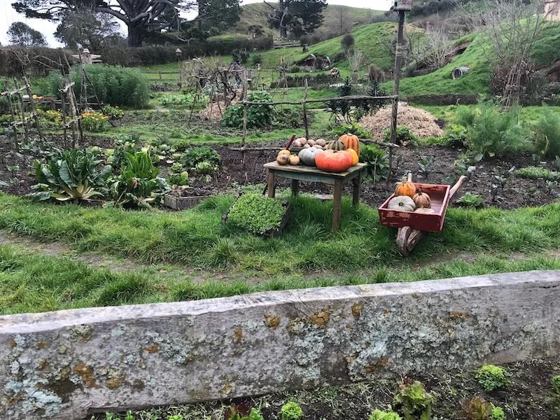 hobbiton movie set tours in new zealand props