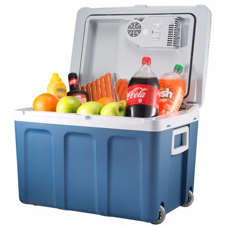 best plug in cooler pic