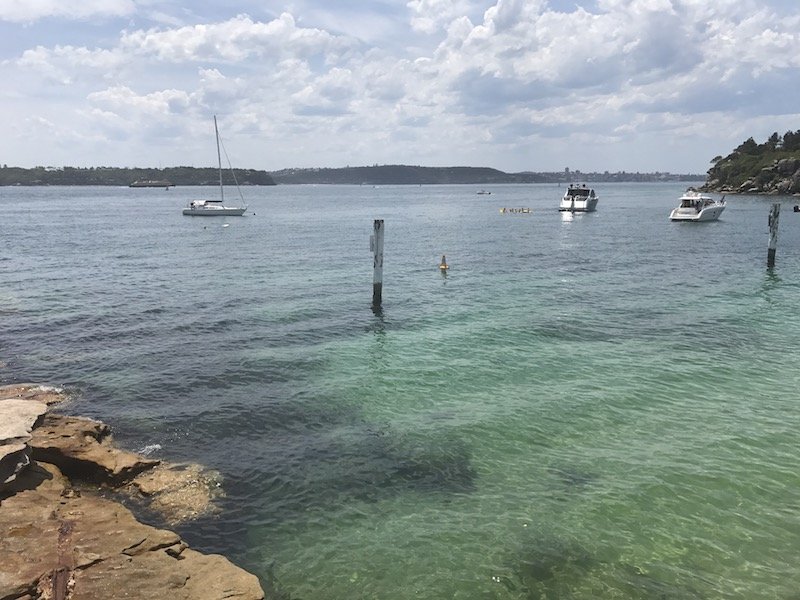 photo - camp cove beach water tropical island 800