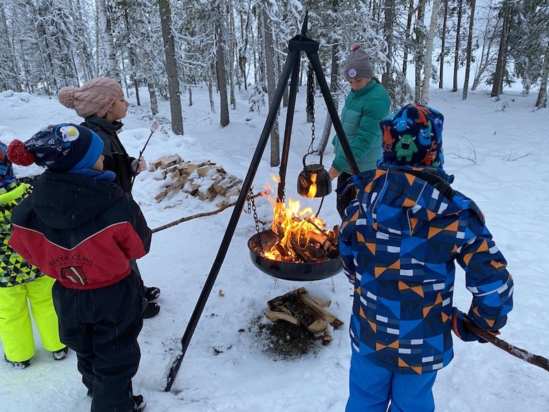 Image - secret forest of joulukka marshmallow cooking