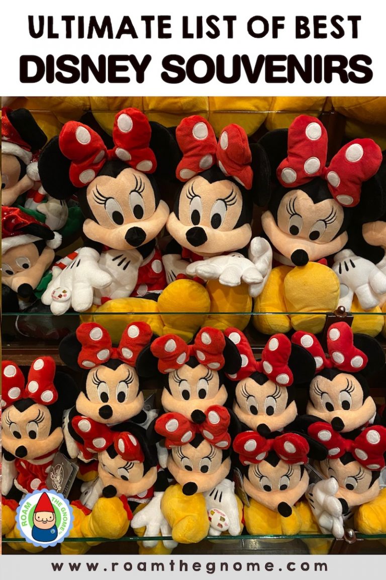 BEST DISNEY SOUVENIRS FOR SUPER FANS!