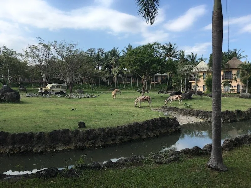 avoid mosquitos in bali - mara river lodge moat