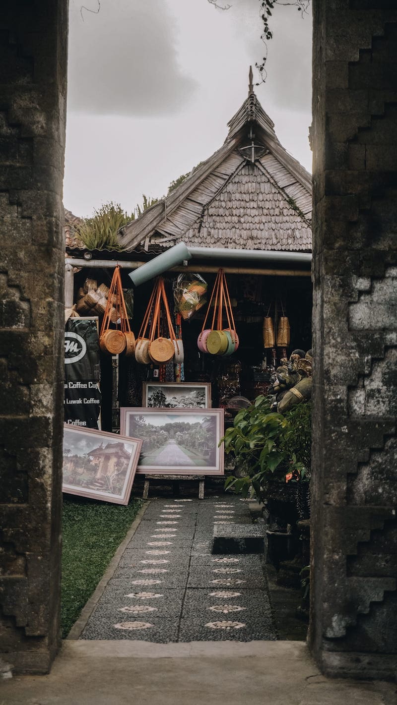 picture of handbag shopping in bali