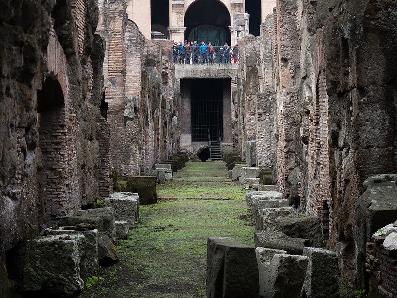 cells and chambers under the floor of the colosseum by matt brisher 