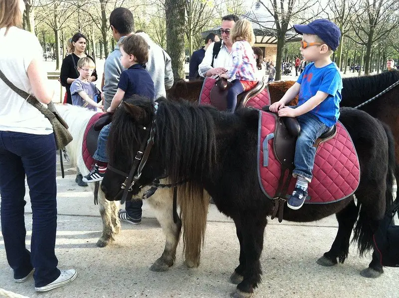 jardin du luxembourg pony rides by steven & courtney johnson 