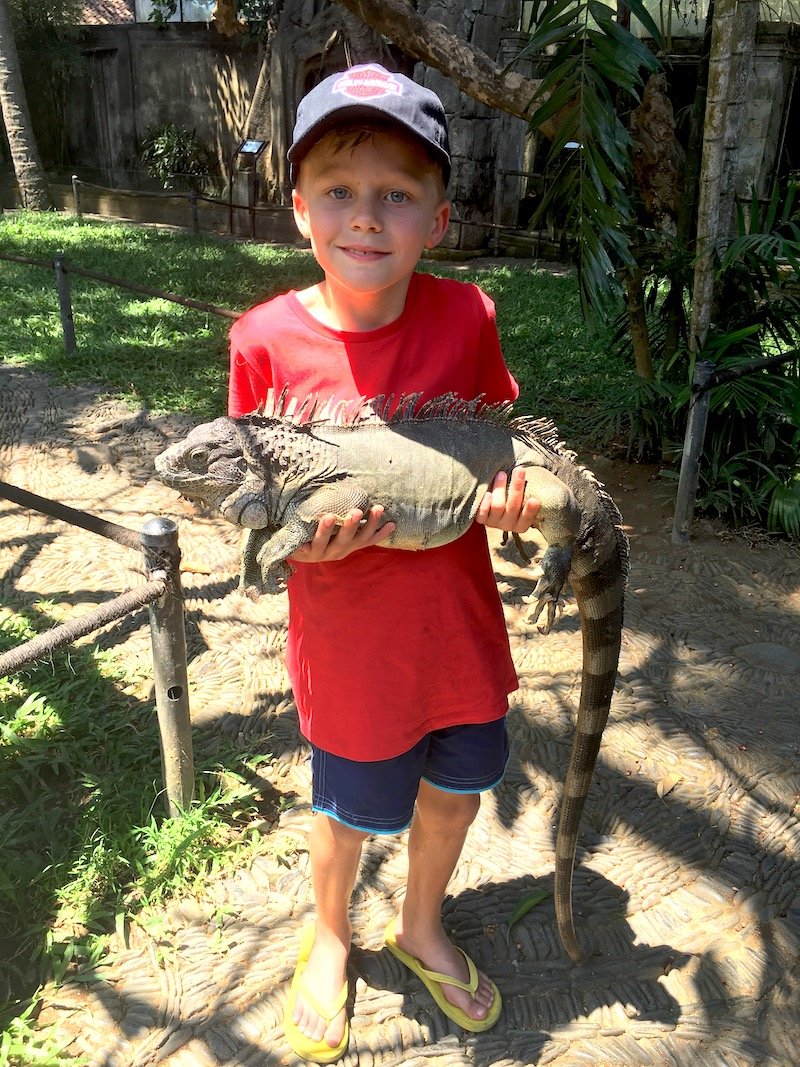 ned at bali bird park 800