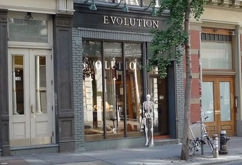 the evolution store new york pic